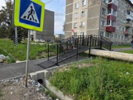 Мостики | производство МАФ в Екатеринбурге | ПАРКФОРМА img 20260901 105828